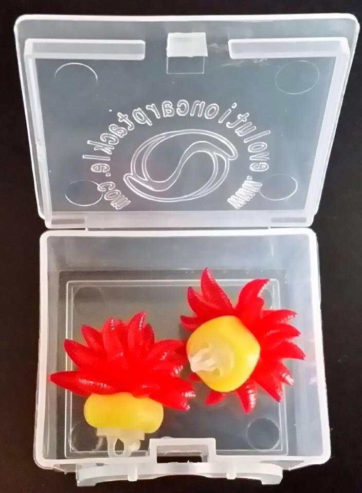 Rig 2015 - image111.jpg